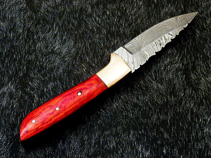 Heritage Forge 8 Inch Full Tang Damascus Bowie Knife with Hardwood Handle and Brass Bolster