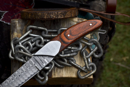 Forged Ladder Damascus Skinner Knife with Hard Wood Handle and Steel Bolster 10 Inch EDC