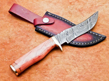 10" Hand Forged Damascus Bowie Knife – Olive Wood Handle