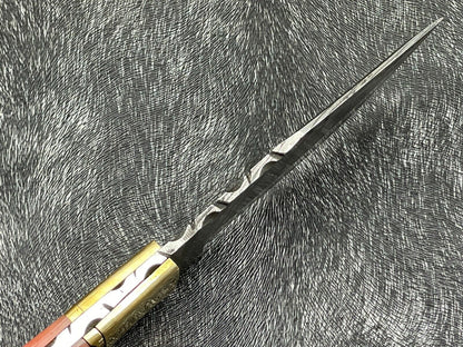 Heritage Forge 9 Inch Damascus Steel Hunting Skinning Knife with Resin Handle and brass including Leather Sheath