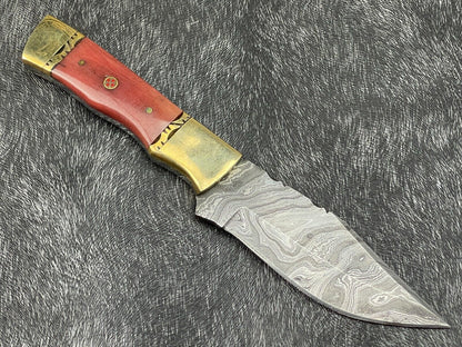 Heritage Forge 9 Inch Damascus Steel Hunting Skinning Knife with Resin Handle and brass including Leather Sheath