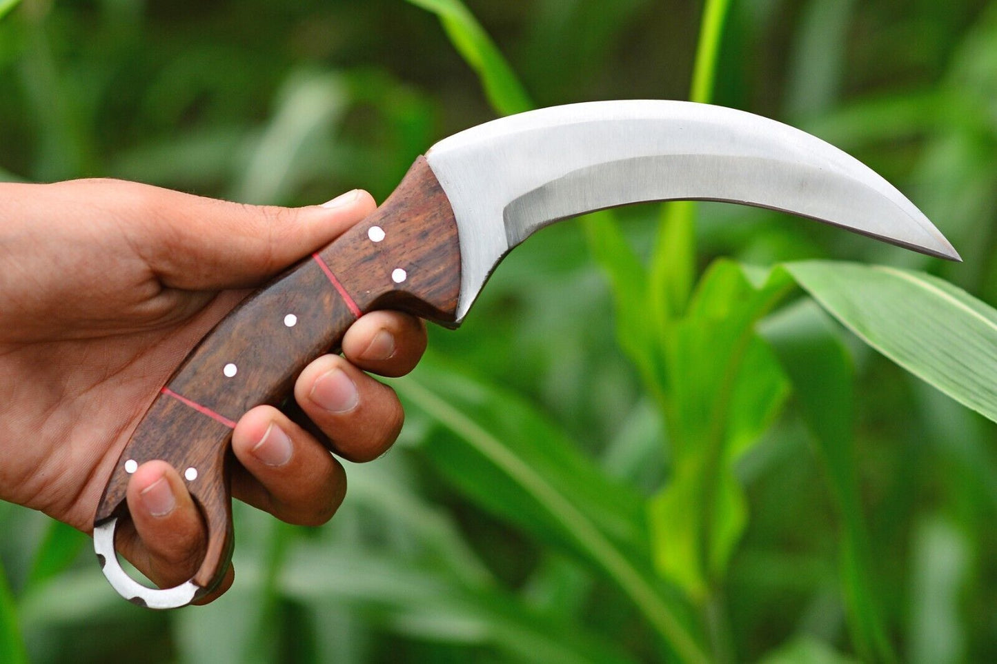 Handmade D2 Steel Karambit Survival Hunting Knife with Rosewood Handle and Sheath