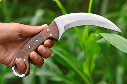 Handmade D2 Steel Karambit Survival Hunting Knife with Rosewood Handle and Sheath