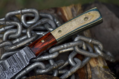 Forged Skinner Knife Twist Damascus Hard Wood Wooden Bolster Hunting