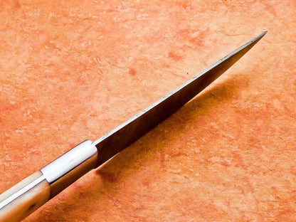 11" Handmade Damascus Steel Chef Kitchen Knife with Camel Bone Handle – Professional Chef Knife