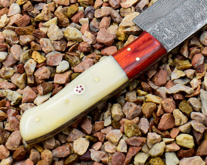 Premium Quality Professional Chef Knife | Handmade Damascus Steel with Bone Handle