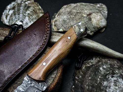 Heritage Forge Handmade Damascus Steel Hunting Survival Knife with Wood Handle and Leather Sheath