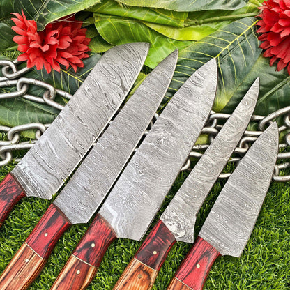 Lot of 5 Handmade Damascus Steel Full Tang Chef Knife Set – Premium Hardwood Handle