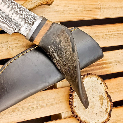 8.5" Custom Damascus Steel Bowie Knife – Ram Horn Handle