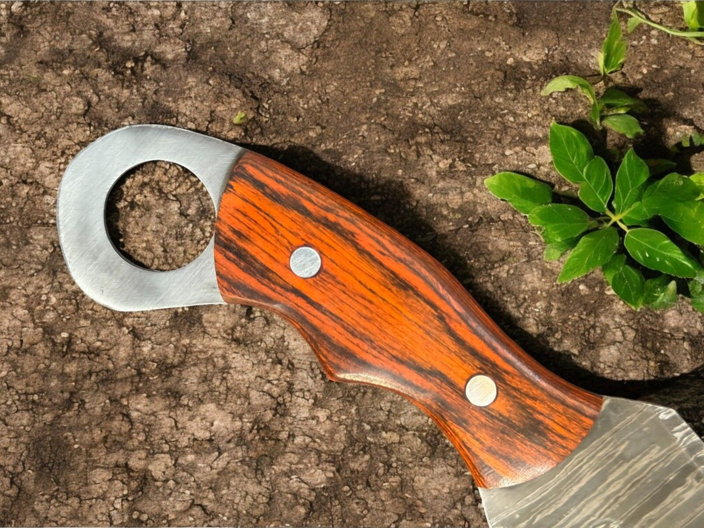 Damascus Karambit Knife 9.5” Karambit Damascus Steel Hunting Knife With Pakka Wood Handle