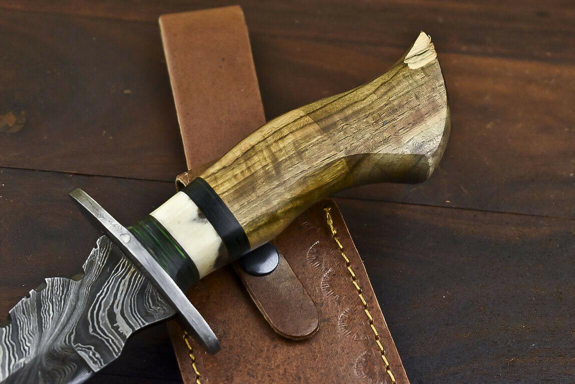 14.5" Handmade Damascus Bowie Knife | Olive Wood Handle