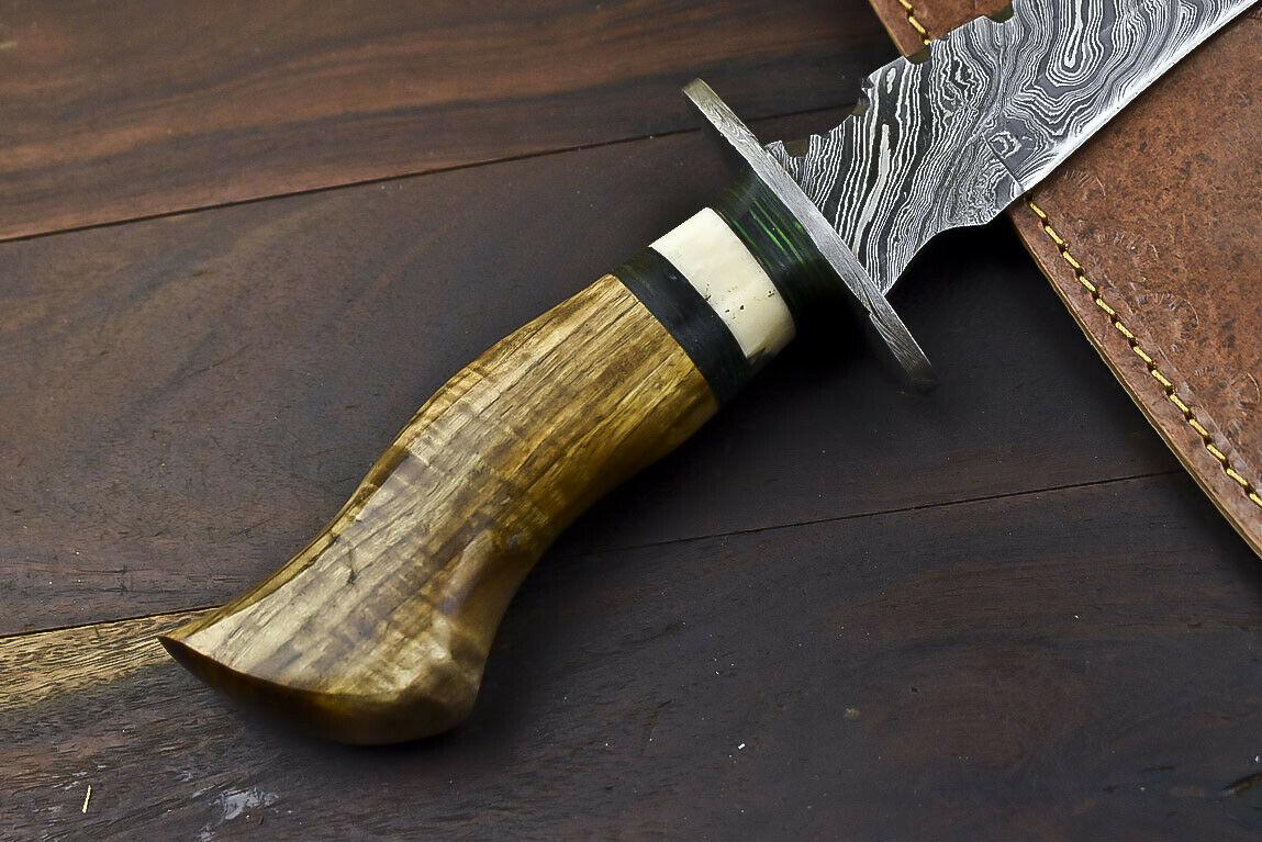 14.5" Handmade Damascus Bowie Knife | Olive Wood Handle
