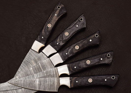 Handmade Damascus Steel Outdoor Kitchen Chef 5 Knives Set with Hardwood Handle