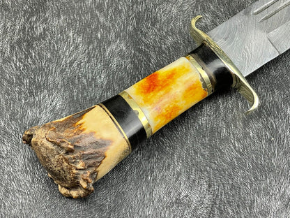 Heritage Forge 14 Inch Damascus Steel Hunting Survival Knife with Camel Bone and Horn Handle