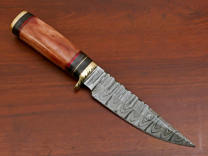 10 Inch Custom Damascus Steel Hunting Knife with Camel Bone and Pakka Wood Handle Brass Guard