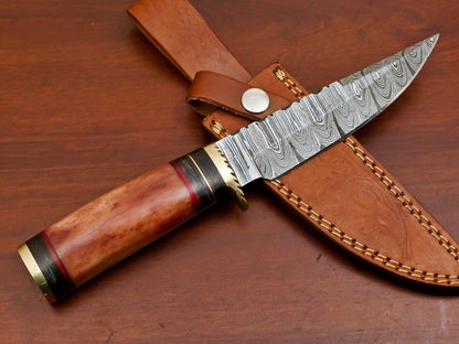 10 Inch Custom Damascus Steel Hunting Knife with Camel Bone and Pakka Wood Handle Brass Guard
