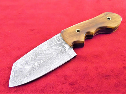 8 Inch Damascus Steel Tanto Blade Hunting Knife with Burl Wood Handle