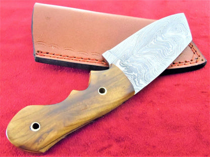 8 Inch Damascus Steel Tanto Blade Hunting Knife with Burl Wood Handle