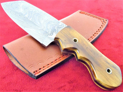 8 Inch Damascus Steel Tanto Blade Hunting Knife with Burl Wood Handle
