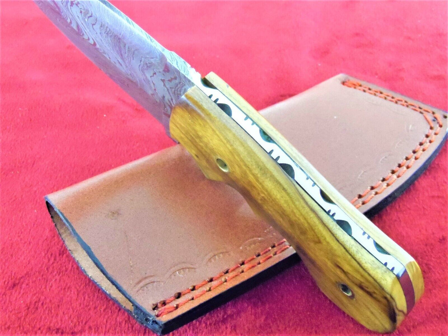 8 Inch Damascus Steel Tanto Blade Hunting Knife with Burl Wood Handle