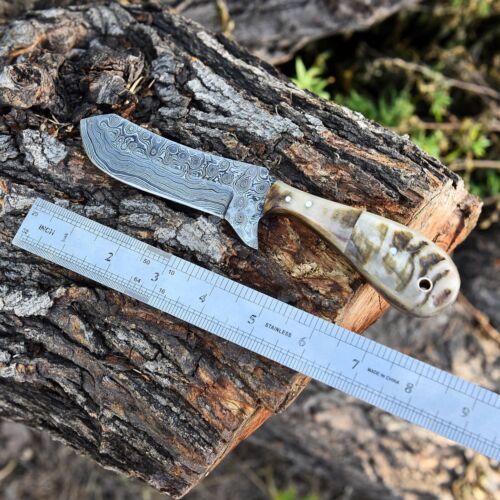 Damascus Steel Bull Cutter Knife Custom Handmade Hunting Bull Knife with Ram Horn Handle
