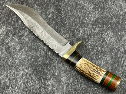 12" Damascus Bowie Knife – Stag Horn & Hardwood Handle