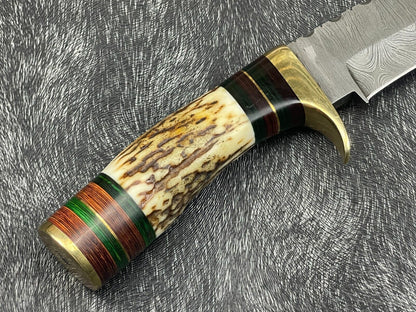 12" Damascus Bowie Knife – Stag Horn & Hardwood Handle