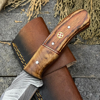 Heritage Forge 8 Inch Damascus Steel Skinner Hunting Knife with Wood Handle and Sheath