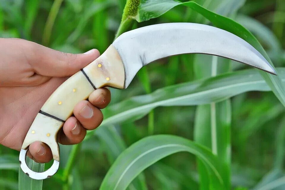 Custom Hand Forged D2 Steel Karambit Knife with Bone Handle and Leather Sheath