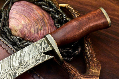 14.5" Rare Handmade Damascus Bowie Knife | Walnut Wood Handle