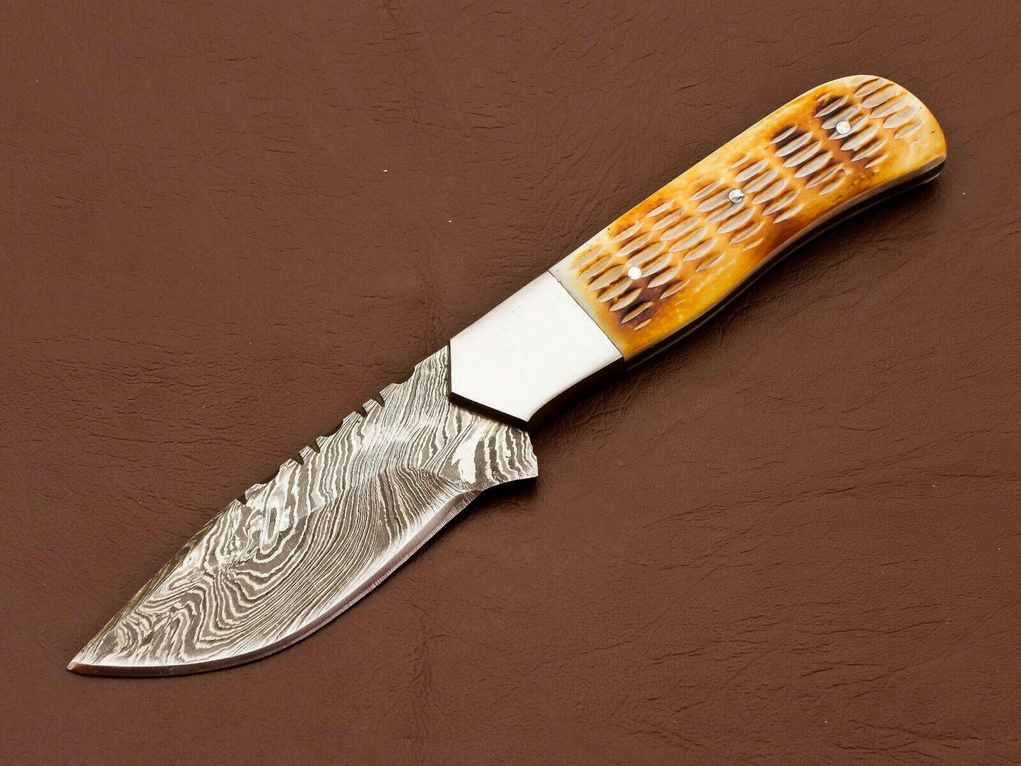 8.5" Handmade Damascus Bowie Knife | Camel Bone Handle & 3.5" Blade