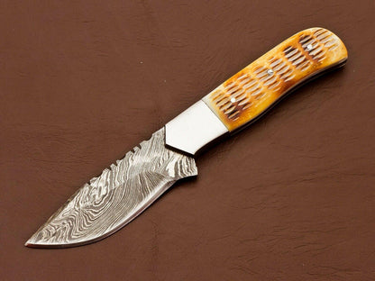 8.5" Handmade Damascus Bowie Knife | Camel Bone Handle & 3.5" Blade