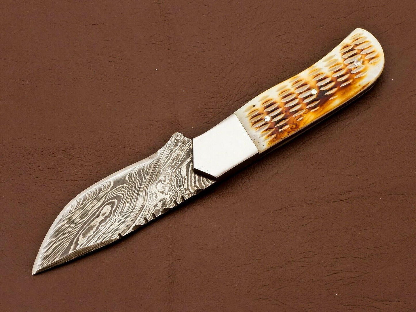 8.5" Handmade Damascus Bowie Knife | Camel Bone Handle & 3.5" Blade