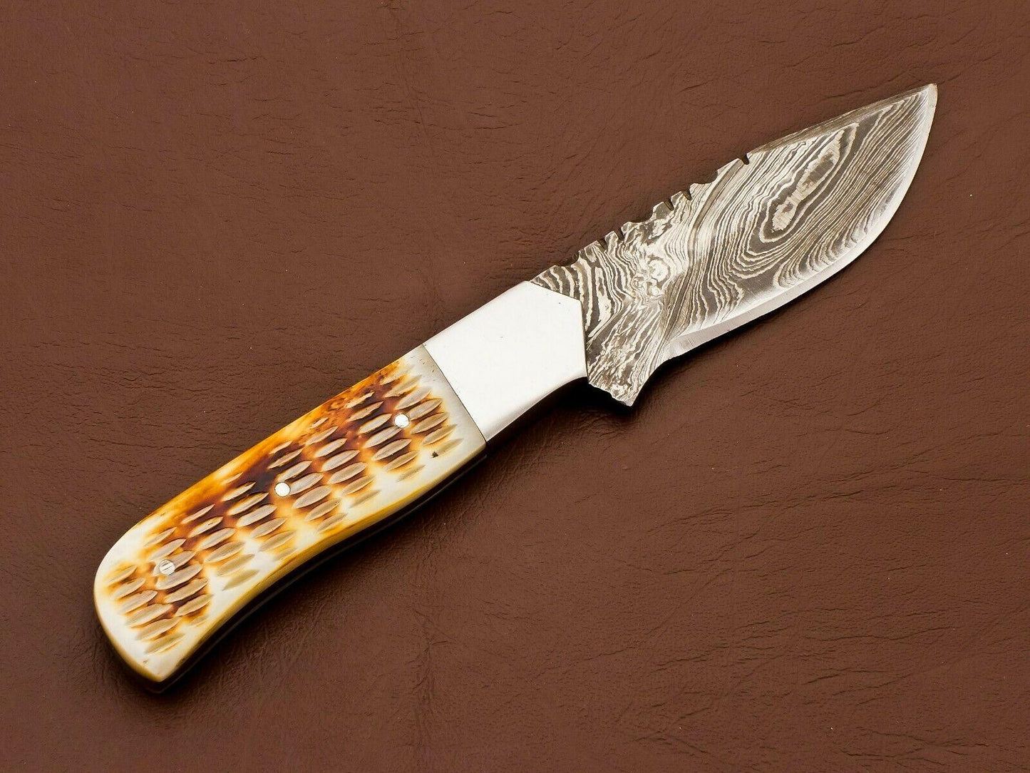 8.5" Handmade Damascus Bowie Knife | Camel Bone Handle & 3.5" Blade