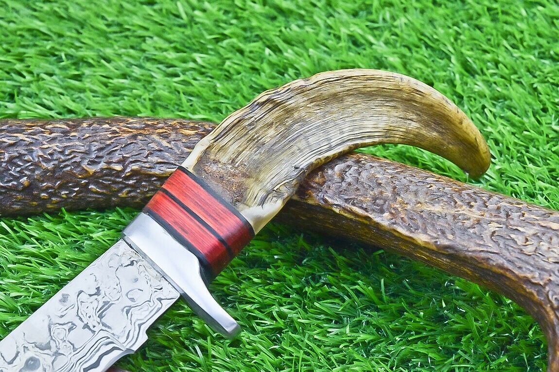 12 Inch Damascus Steel Bowie Knife with Ram Horn and Wood Handle