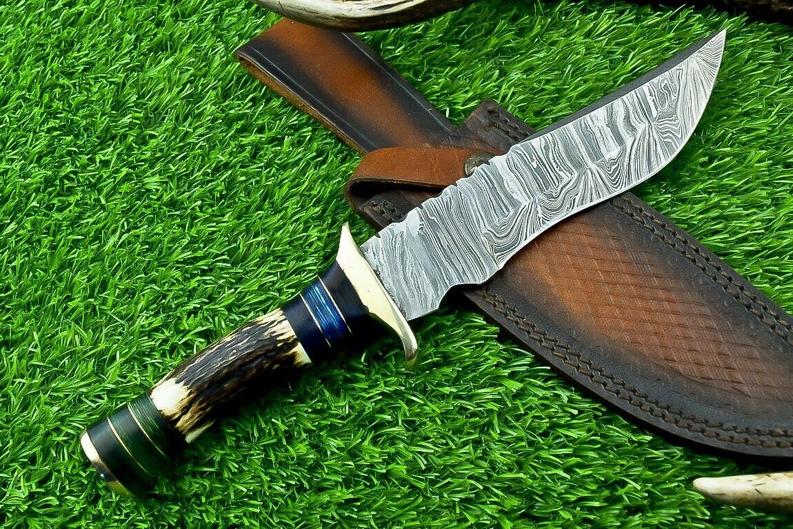 11 Inch Damascus Steel Bowie Knife with Stag Horn and Hardwood Handle