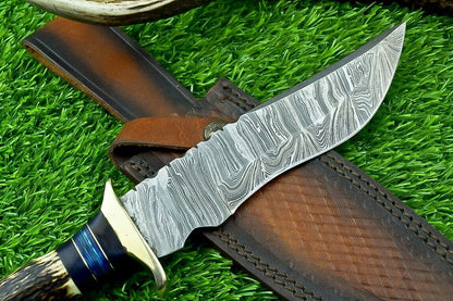 11 Inch Damascus Steel Bowie Knife with Stag Horn and Hardwood Handle