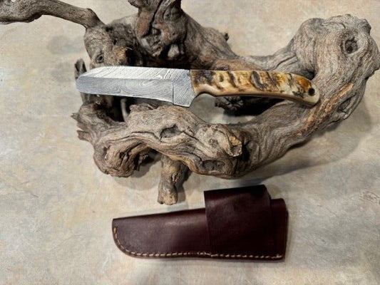 Hand Forged Damascus Steel Bull Cutter Knife Cowboy Bull Cutter Knife with Rams Horn Handle