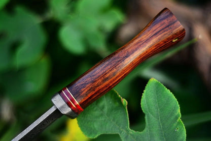Heritage Forge 10 Inch Damascus Steel Bushcraft Knife with Rosewood Handle and Leather Sheath for Hunting and Survival