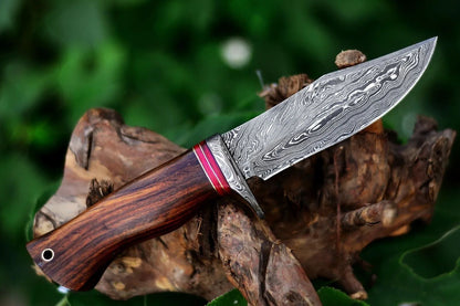 Heritage Forge 10 Inch Damascus Steel Bushcraft Knife with Rosewood Handle and Leather Sheath for Hunting and Survival