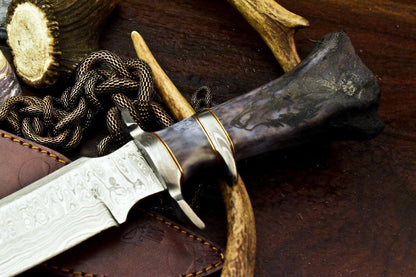 15.5" Damascus Steel Bowie Knife – Laser Etched Blade with Stained Camel Bone Handle