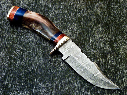 Heritage Forge 8 Inch Damascus Steel Hunting Knife with Ram Horn and Hardwood Handle