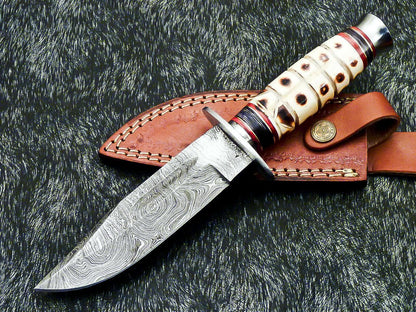 Hand Forged Damascus 10" Bowie Hunting Knife | Camel Bone & Hardwood Handle