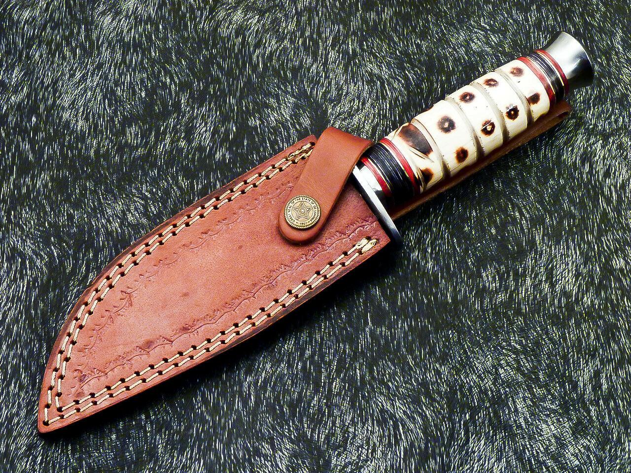 Hand Forged Damascus 10" Bowie Hunting Knife | Camel Bone & Hardwood Handle