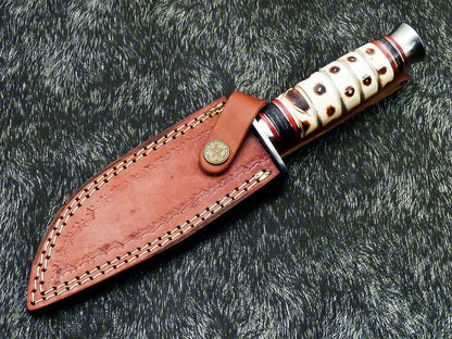 Hand Forged Damascus 10" Bowie Hunting Knife | Camel Bone & Hardwood Handle