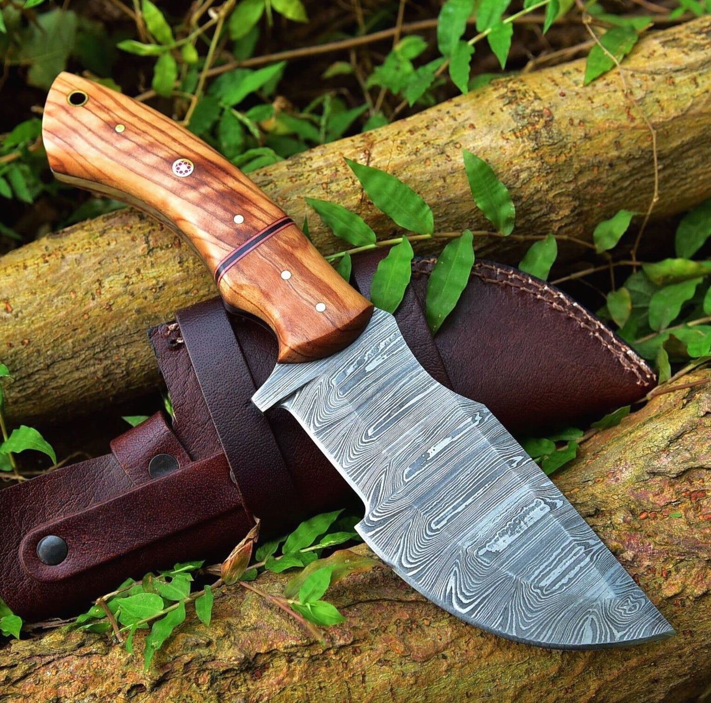 10.25" Handmade Damascus Steel Tracker Knife | Olive Wood Handle with Leather Sheath