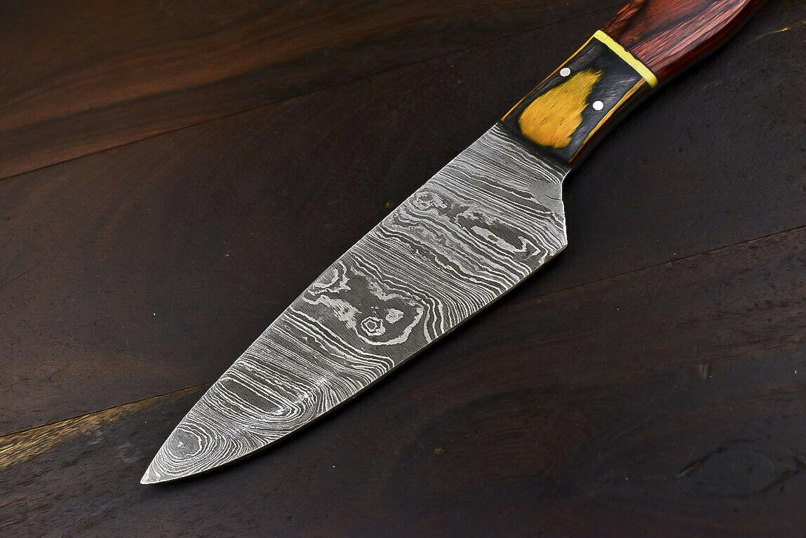 Handmade Wild Life Damascus Steel Sports Tanto Hunting & Chef Knife with Hard Wood Handle, 6-Inch Blade, 11-Inch Overall, Wooden Bolster, Full Tang, Oil-Tempered 58-60 HRC