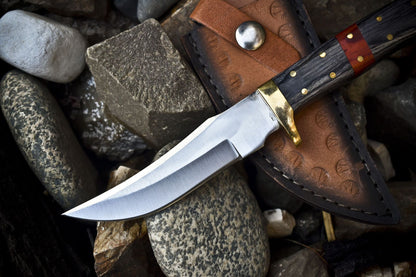 Custom Skinner Knife 440C Steel Hardwood Handle with Brass Guard