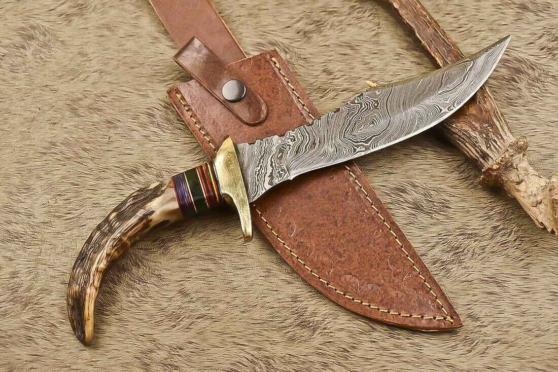 12.5" Damascus Steel Bowie Knife with Ram’s Horn Handle  Survival Hunting Blade