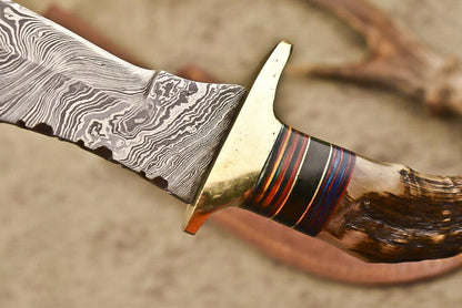 12.5" Damascus Steel Bowie Knife with Ram’s Horn Handle  Survival Hunting Blade
